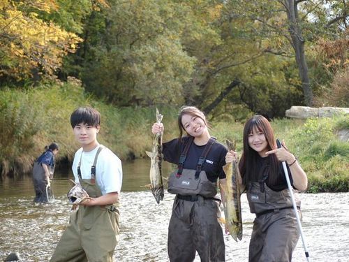 奥蕊別川水生生物観察(特別な許可を頂いて観察のための活動をしています)