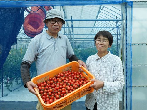 吉田 篤也 氏（よしのや農園）