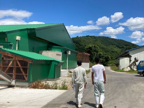 農場はとにかく広い。移動そのものが、いい運動になります。