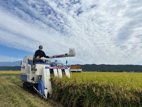 稲作が盛んな地域です