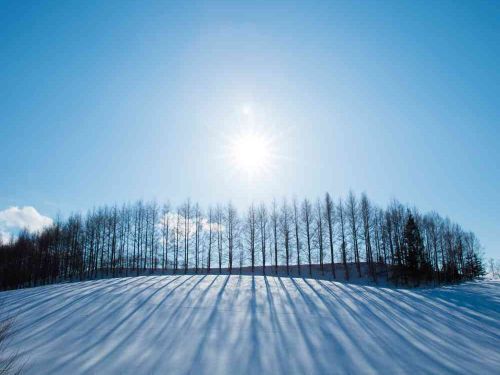 冬季には雪景色も楽しめます