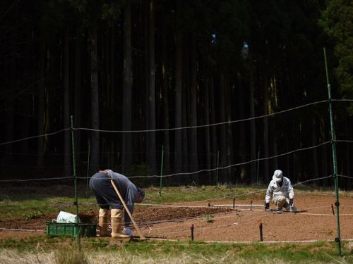 真っ暗な森と畑。獣害柵無では作物が出来ない・・・。