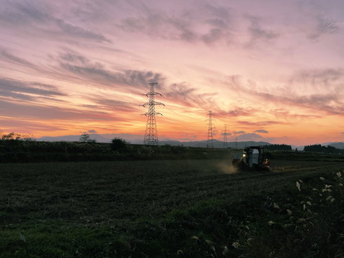 夕暮れの田園風景
