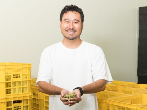 弥彦村だけでも、非常に豊かな食材があります！写真は生産量が多い「枝豆」