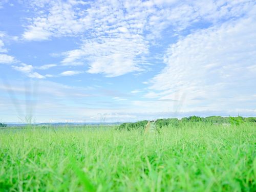 何も無い登米には、心地よい風が吹いている