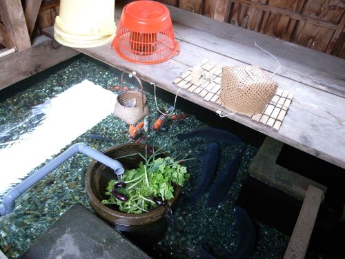 高島市の川端（かばた）。湧き水（生水）を生活用水として利用