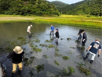【課題解決③】田んぼ作業のお手伝い
