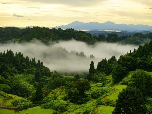 絶景の蒲生の棚田