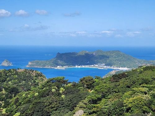 父島 中央山からの風景