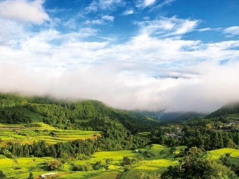 れいほくは高知の中でも山が近い場所にあります