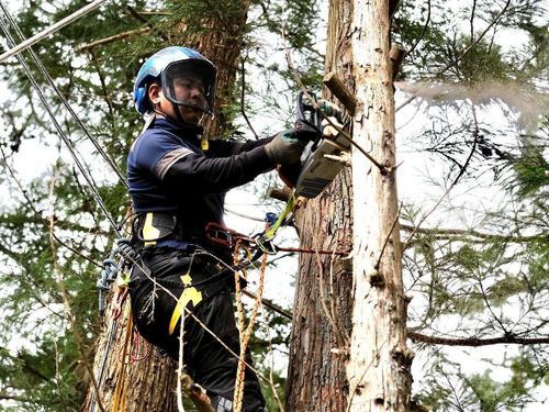 林業現場で活躍される 高橋 成紀さん