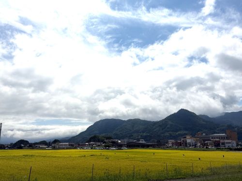 みなかみの今日の景色。