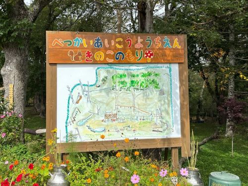 校舎裏にある「きのこの森」の看板の後ろは、森になっています。