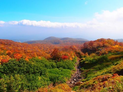 岩手県と秋田県にまたがる焼石連峰は、知る人ぞ知る紅葉の穴場スポット。