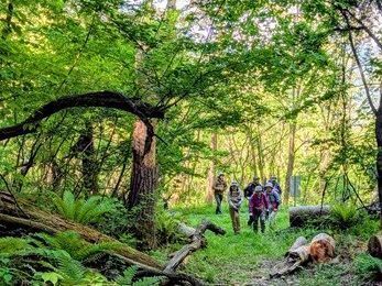 里山ならではの味わいのあるコース