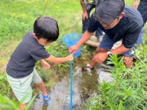 夏は虫取りや水遊び