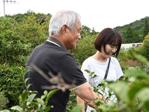 茶畑で中森さんにお話を伺いました！