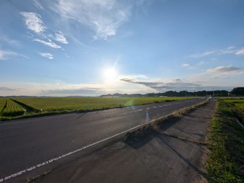 いけども、いけども「田んぼ」