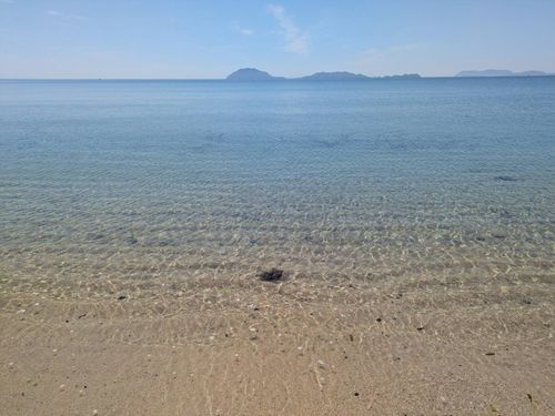 五十谷海岸