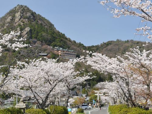 太郎坊の春