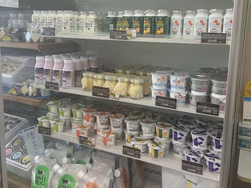 ヨーグルトで乾杯！乳製品好きにはたまらない♡
