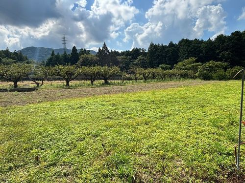 地域の人が使っていた農地を引き継げる。