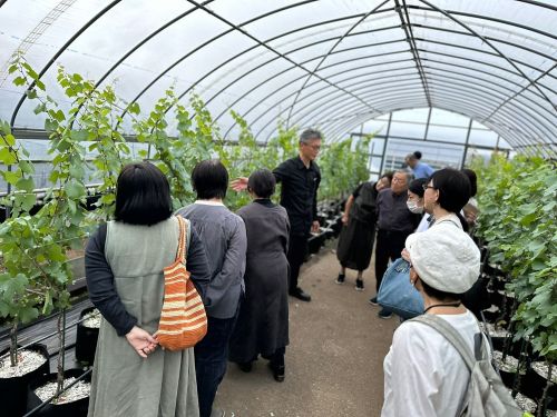 伊勢志摩で廃棄される牡蠣殻を土壌肥料として活用している自社農園