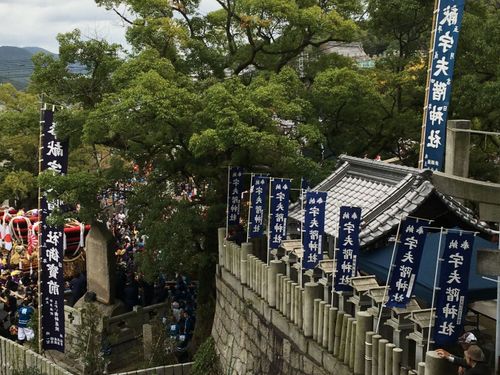 静かな宇多津古街も賑やかに。太鼓台と呼ばれる山車も宇夫階神社に集まります。