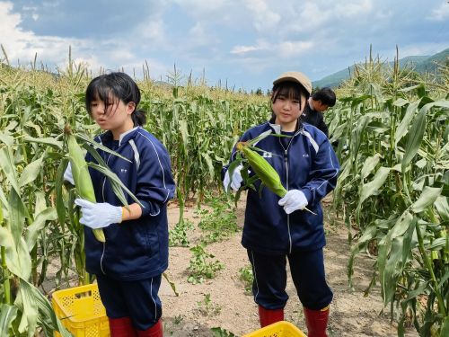 地域での収穫体験◆生徒たちと地域をつなげるのもハウスマスターの役割