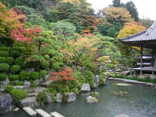 百済寺・永源寺の紅葉🍁