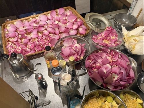 花ハスの香り抽出実験！うまくいくかな？