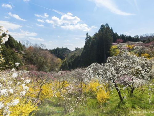自然資源の豊かな山村で