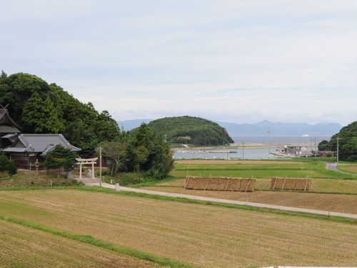 通勤時に見える、島の田園風景。