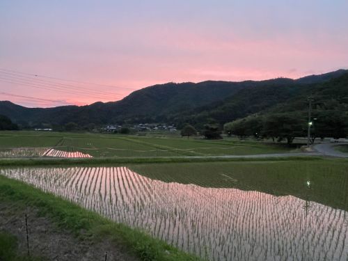 この田園風景、地域のみんなで守っています。