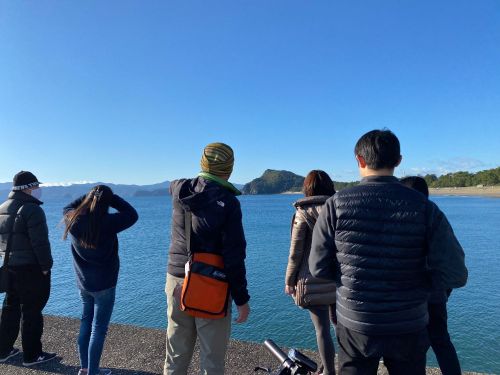 現地周遊の様子