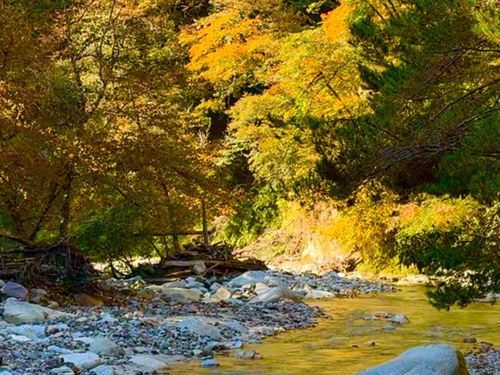 秘境の紅葉はまもなく見頃を迎えます