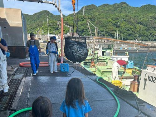漁の水揚げの様子を家族も見学。