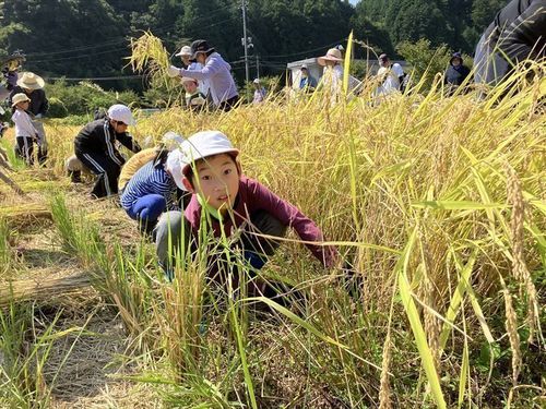 現地参加された方は佐々並の新米5キロプレゼント！！
