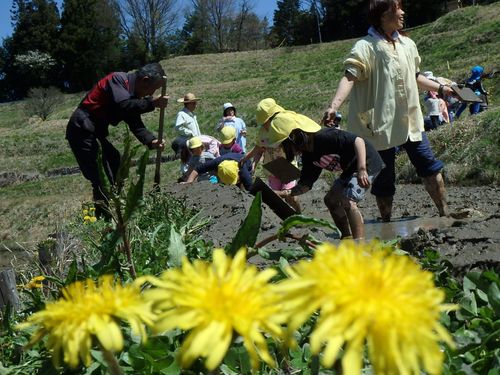 畦塗りを体験する地元の園児