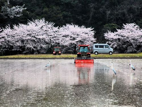 農家として働きながら、美味しい特産品を育て、地域の内外へ流通させる。