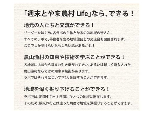 ここがオススメ！