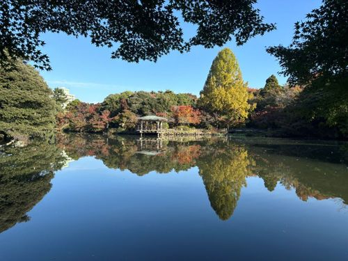 日本100名城のひとつ、高岡城跡（高岡古城公園）