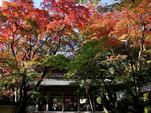 秋の山門