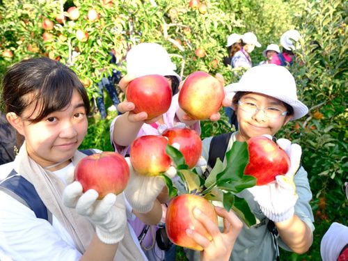 地域交流型研修（農家さんとリンゴ園にて）