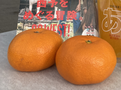 来場者特典（イメージ）
