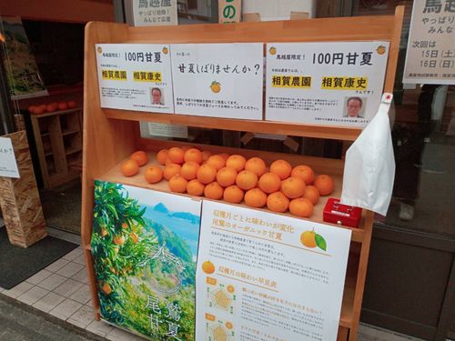 馬越屋での甘夏販売の様子。そのほかにも新鮮な地元の農産品を販売。毎週土日に開催