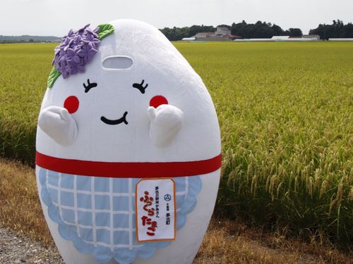 多古町のマスコットキャラクター「ふっくらたまこさん」と雄大な田んぼの景色です！