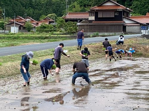 みんなで田植え