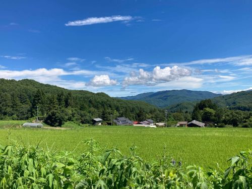 空も広くて、山も美しくのぞめます🏔