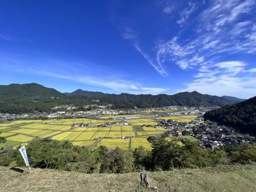 ９月頃の養父市
